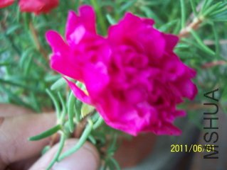 100_3627.JPG