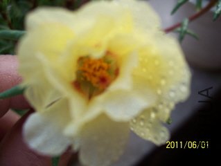 100_3644.JPG