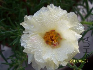 100_3643.JPG