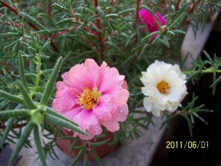 100_3638.JPG