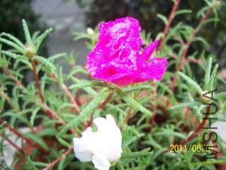 100_3640.JPG