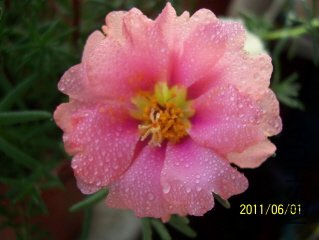 100_3642.JPG