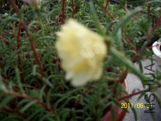 100_3639.JPG