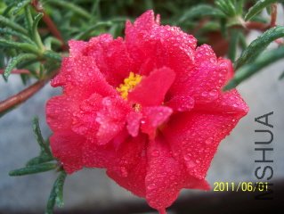 100_3641.JPG