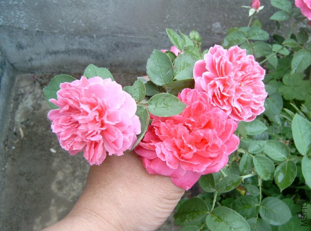 �������