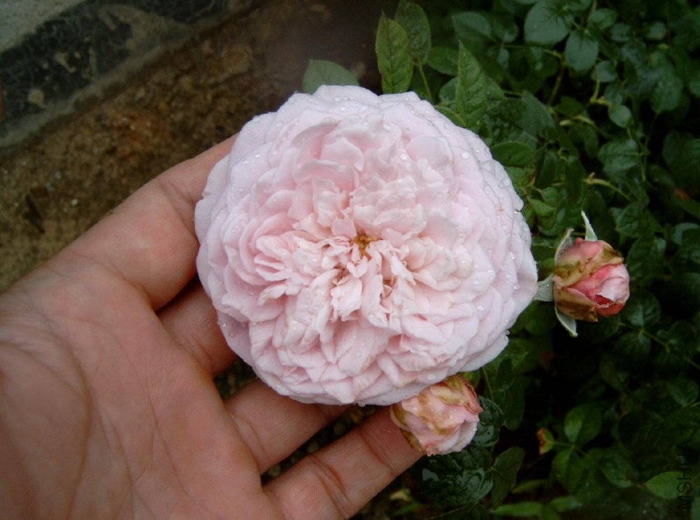 δ֪����˭֪����