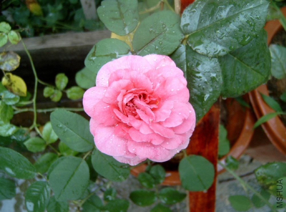 ����³�»���