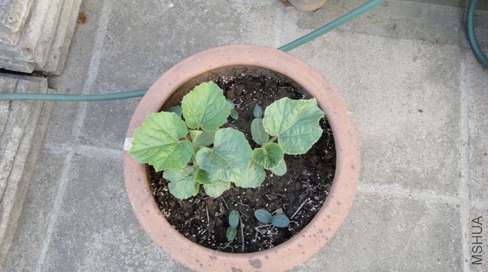 ����«������20110427 1.JPG