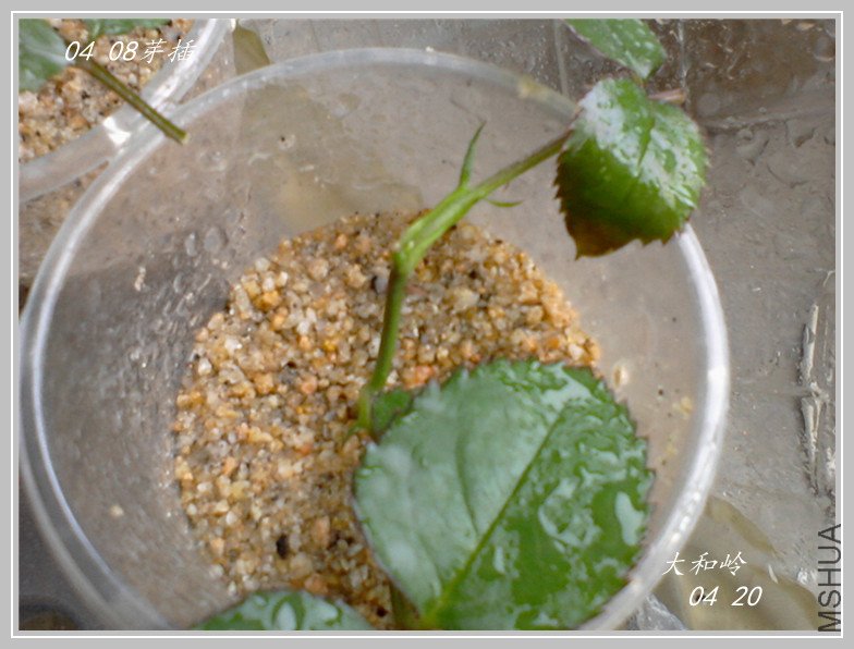 ��Ƭ-0086_����.jpg
