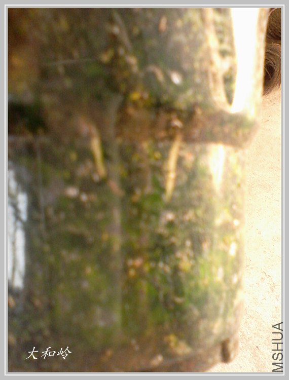 ��Ƭ-0426_����.jpg