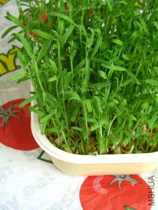 ѿ�� ���� 1.jpg