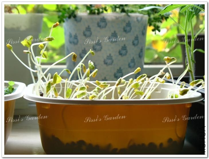 ѿ�� ���� 1.jpg