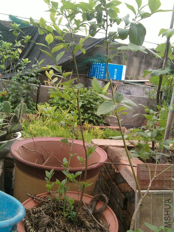 SP_A0014.jpg