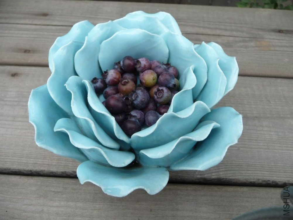 ��ݮ����