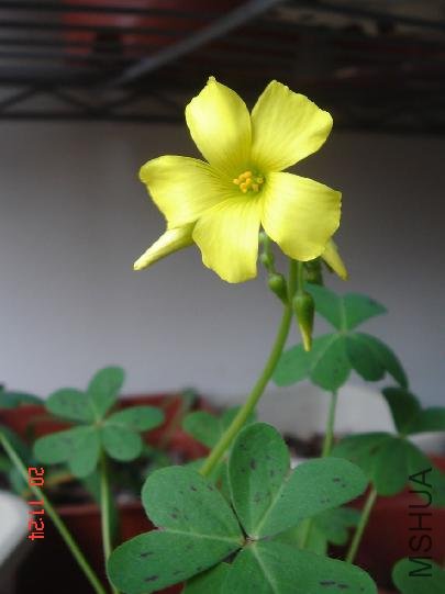 360��ȫ�������ͼ12464781.jpg