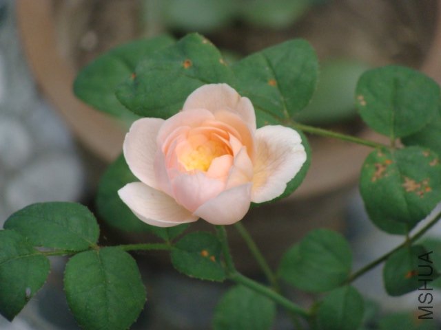 DSC00035.JPG