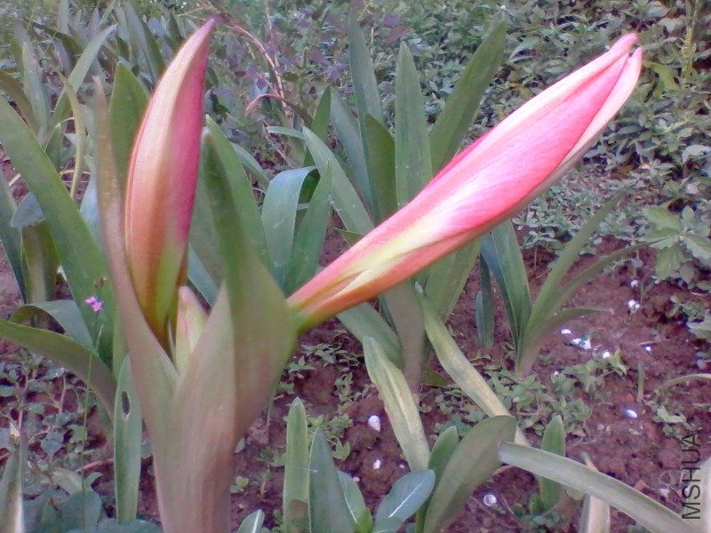 2011-06-03 18.22.a.jpg