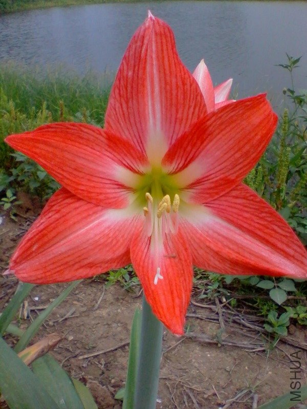 2011-06-05 07.40.20.a.jpg