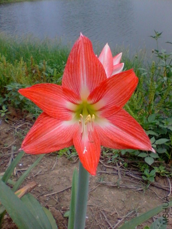 2011-06-05 07.40.27.a.jpg