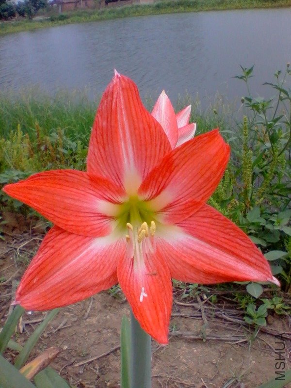 2011-06-05 07.40.43.a.jpg