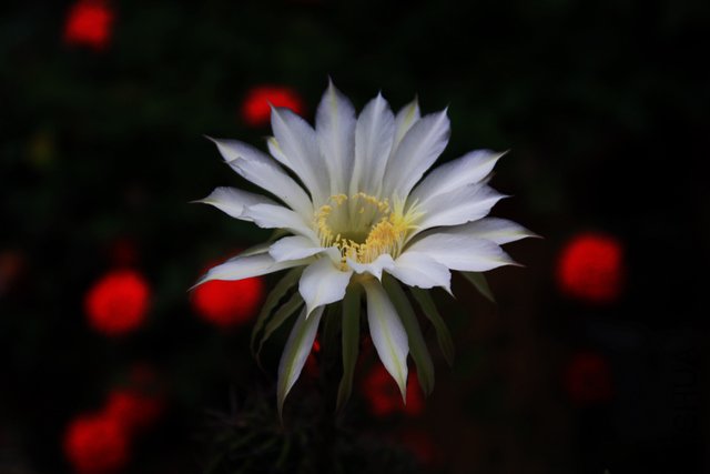 2011.06.02.������Ļ� 026.jpg