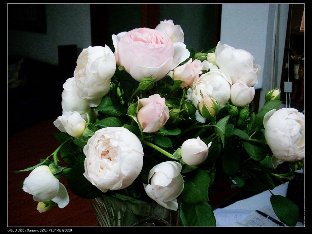 nEO_IMG_SL383040.jpg