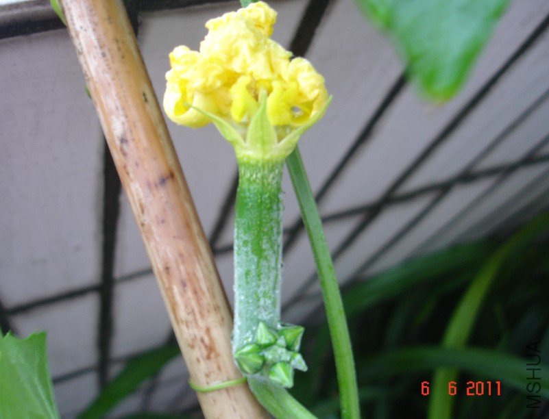 ��˿�ϵ��Ǵƻ������Ա�û���ĺü������ۻ���