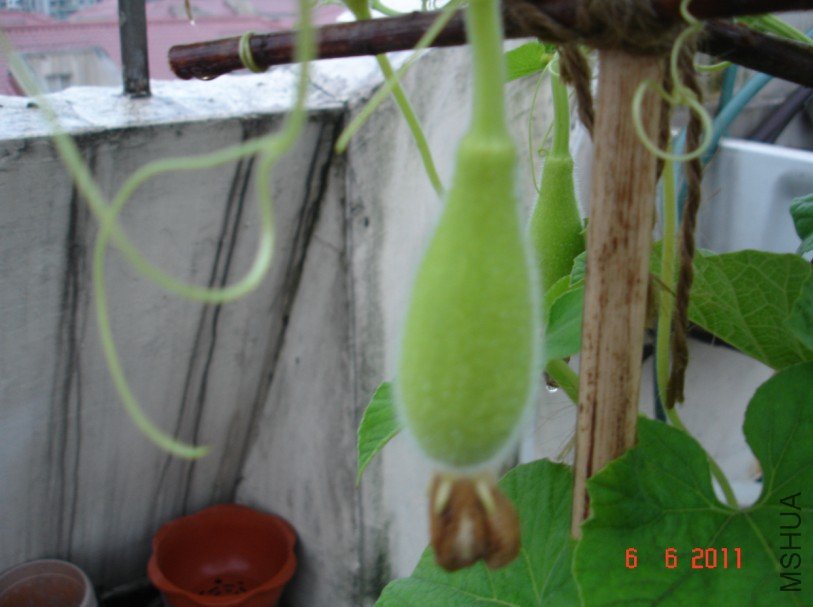 ����«20110606 1.JPG