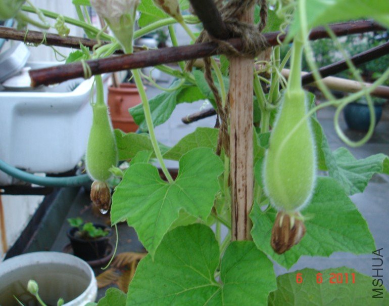 ����«20110606 3.JPG