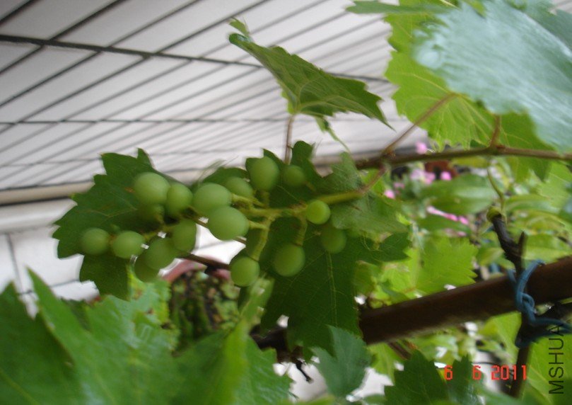 ����201100606 1.JPG