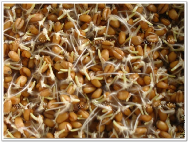 110606 С�� 1.jpg