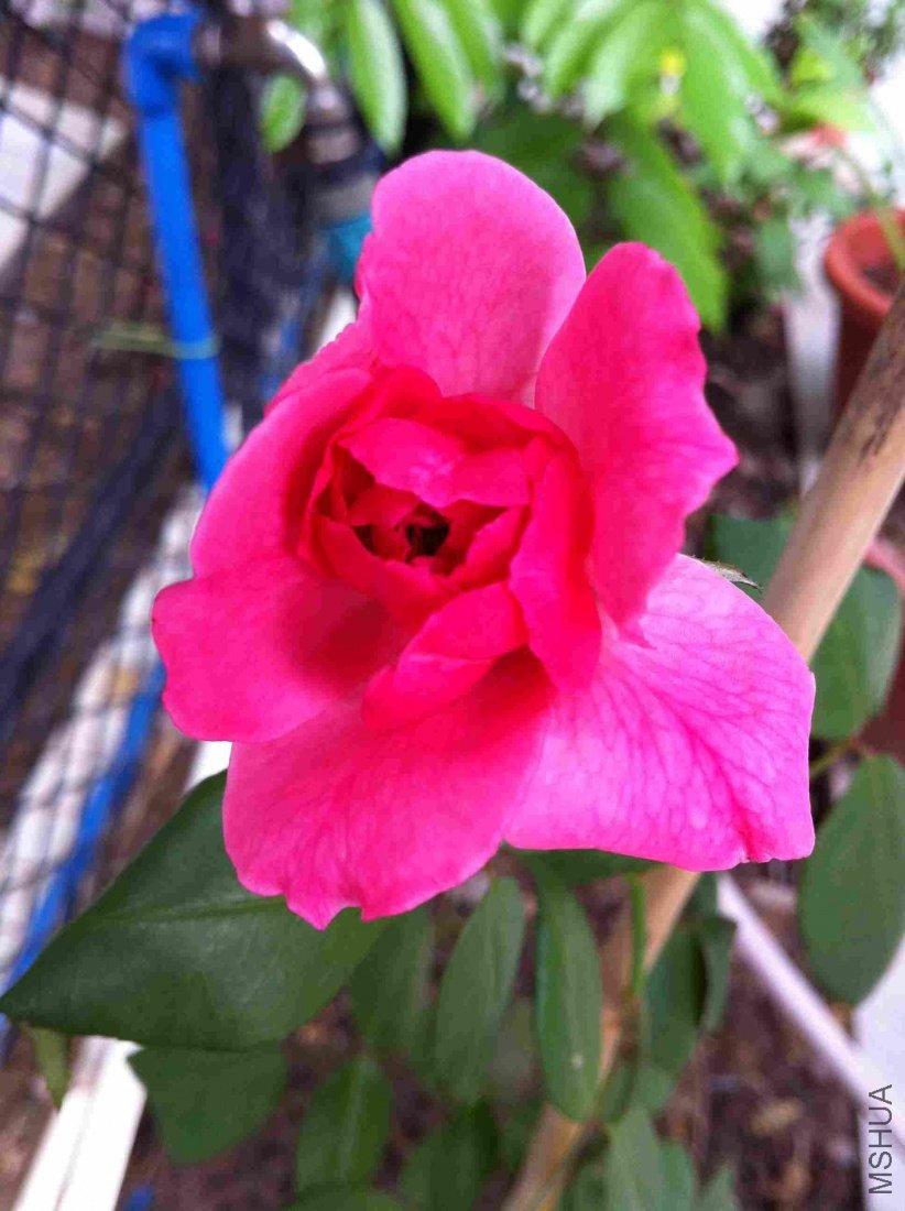 ��Ƭ 058_conew1.jpg
