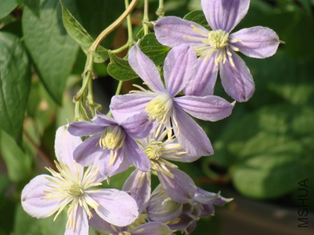 �ҵİ�������