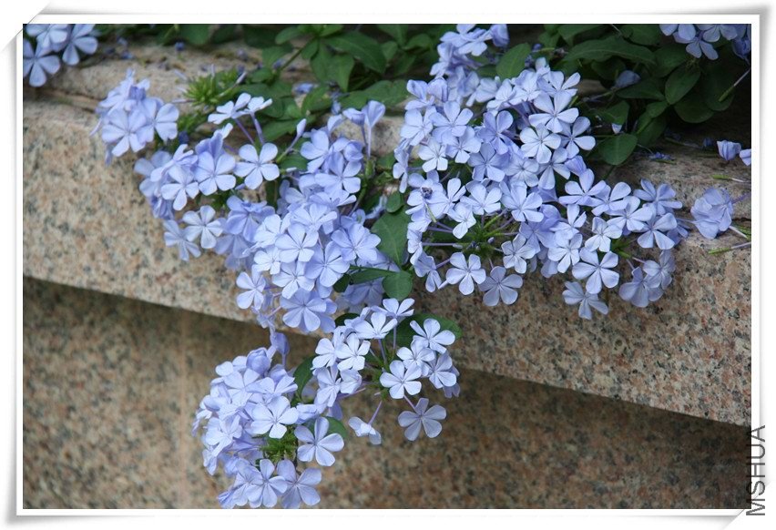 �������ɫ