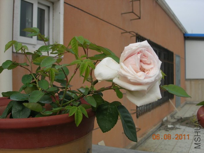 DSCN4055.jpg