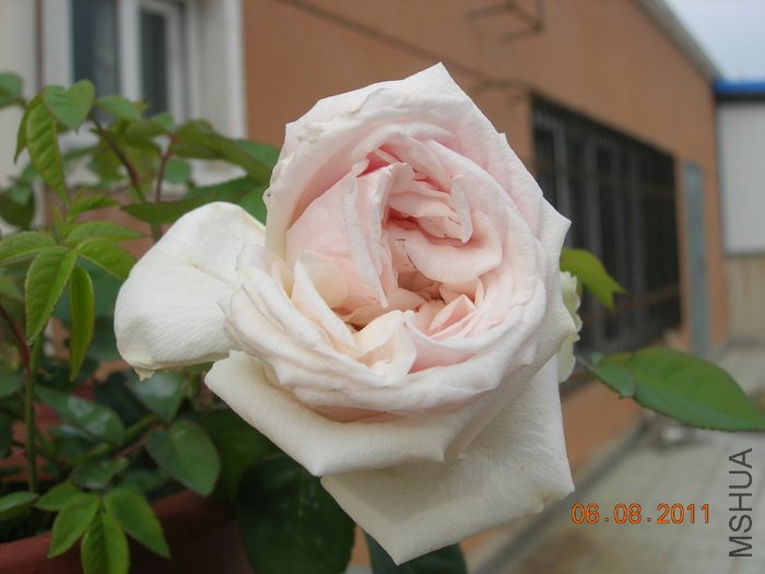 DSCN4056.jpg