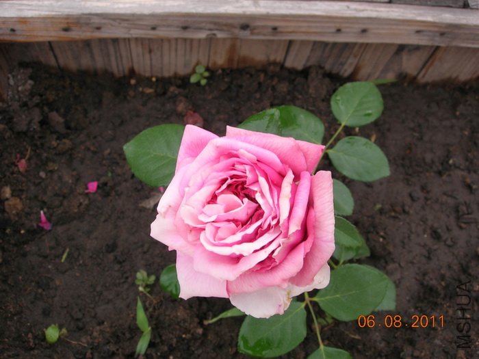 DSCN4058.jpg