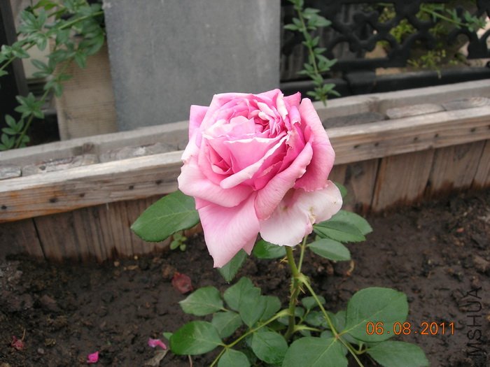 DSCN4059.jpg