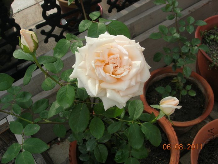DSCN4060.jpg