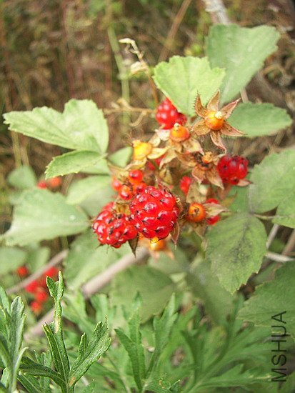 101_8623.jpg