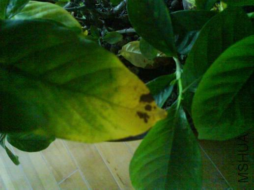 ������С DSC01329.JPG