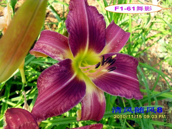 F1-61��Ӱ (1).jpg