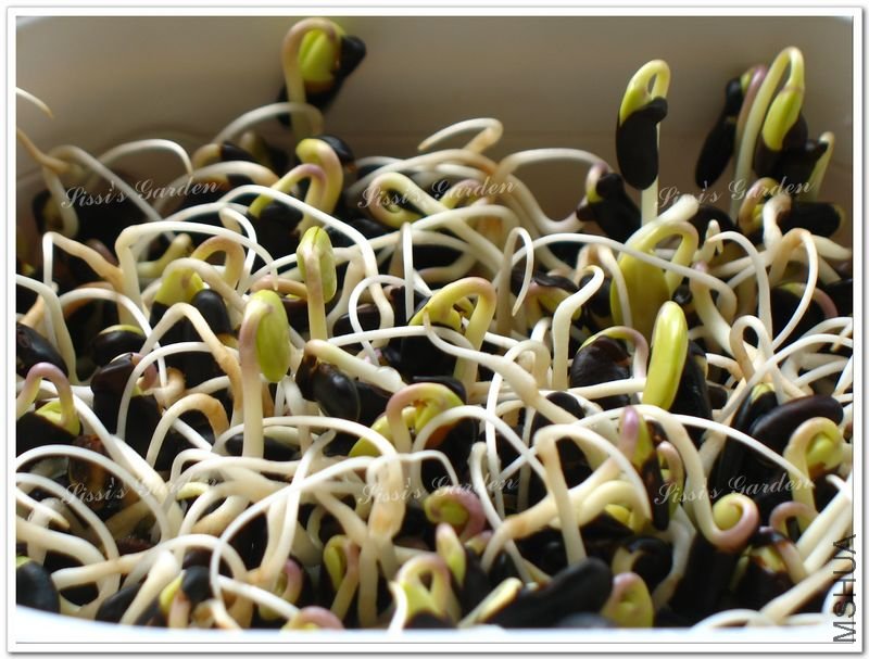 110608 �ڶ� 1.jpg