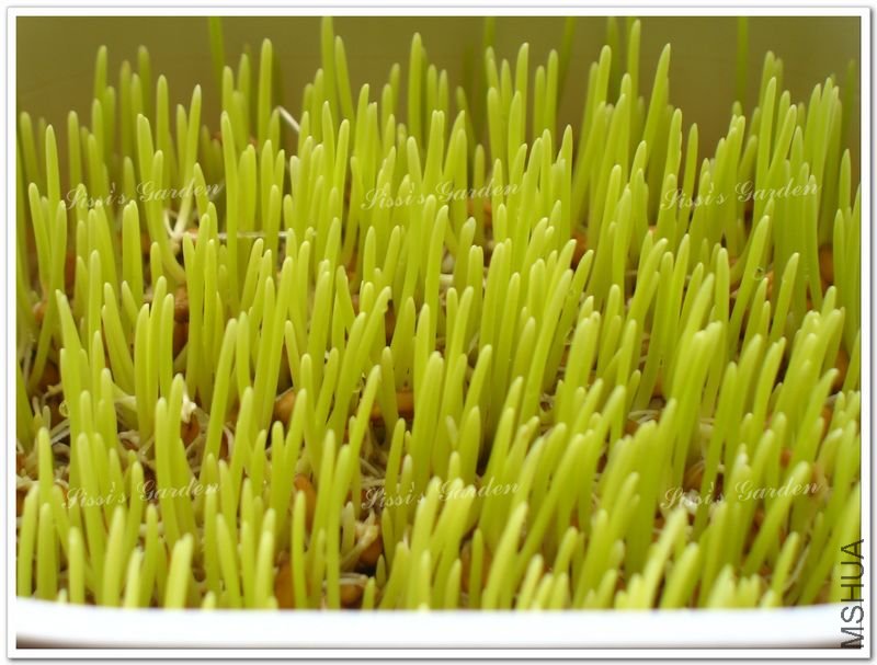 110608 С�� 1.jpg