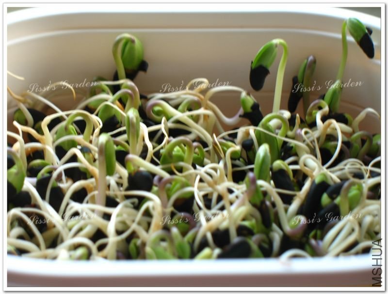 110608 �ڶ� 2.jpg