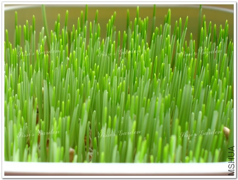 110608 С�� 2.jpg