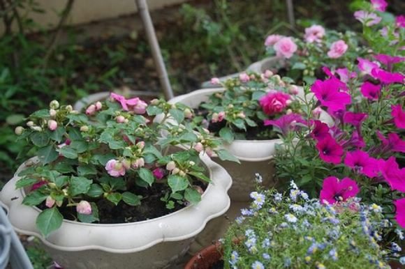 DSC_0436.JPG