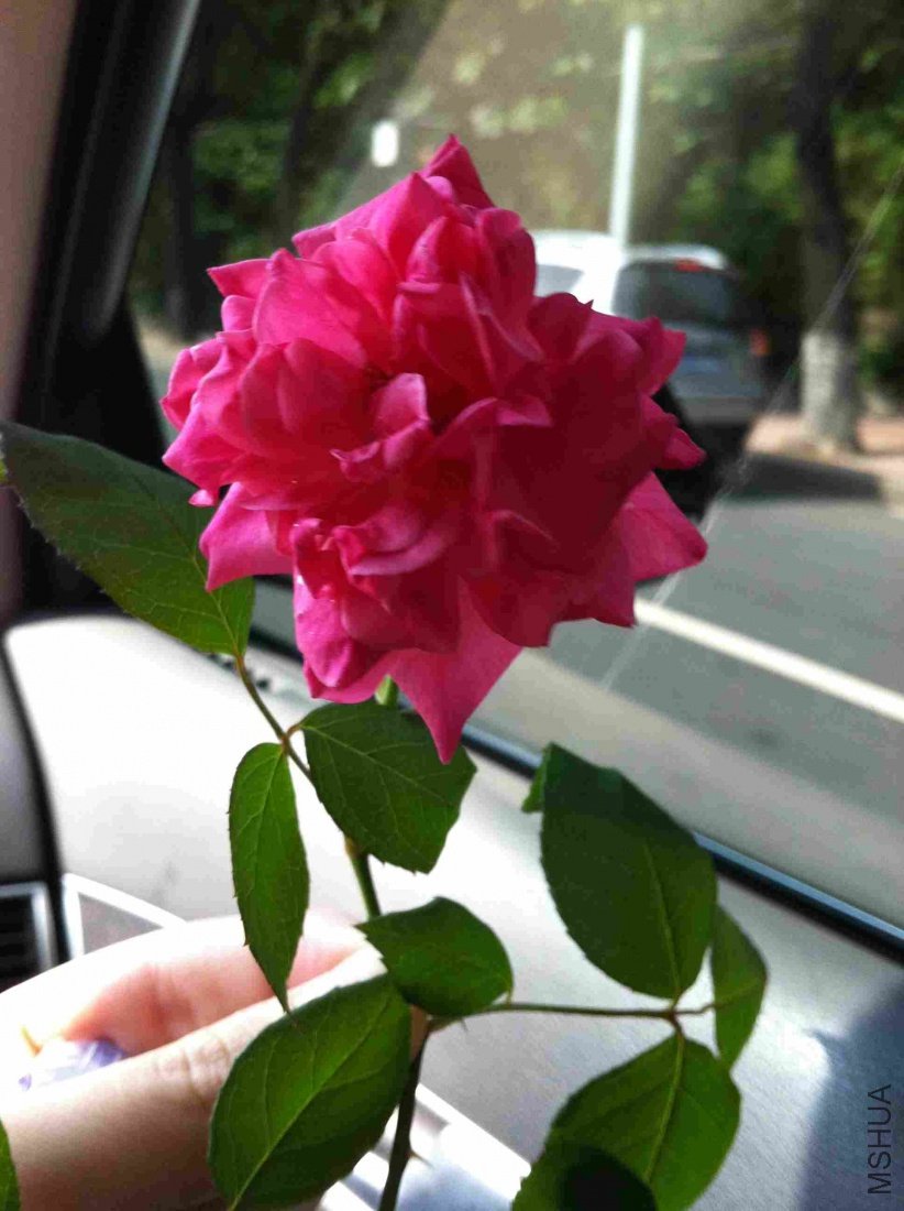 ��Ƭ 066_conew1.jpg