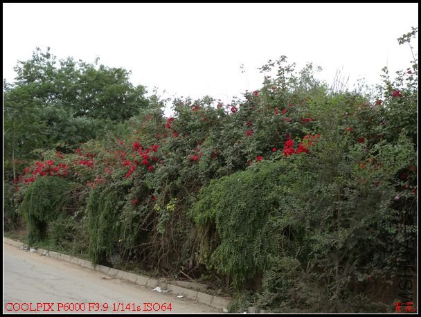 DSCN1226.jpg