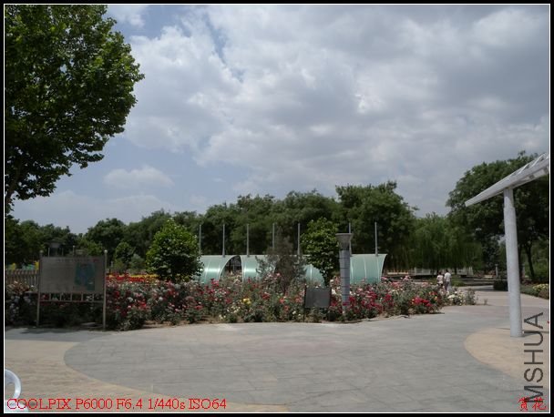 DSCN1223.jpg